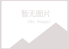 柳州鱼峰女孩咨询有限公司